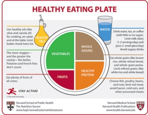 healthy-eating-plate-460